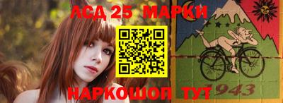 гашик Донецк