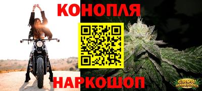 ПСИЛОЦИБИНОВЫЕ ГРИБЫ Заволжье