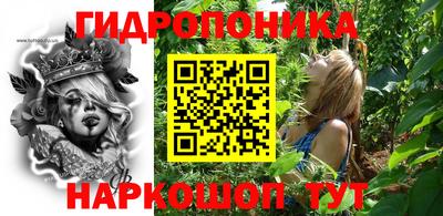 гашик Донецк