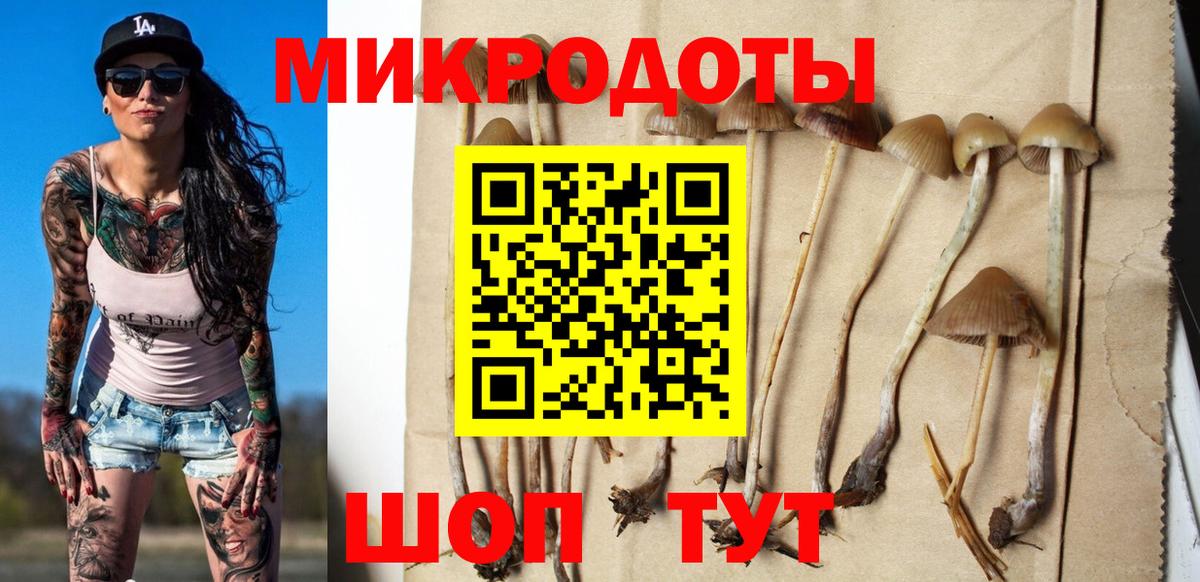 Псилоцибиновые грибы Cubensis  Псилоцибиновые грибы прущие грибы  Вход с VPN  Кунгур 