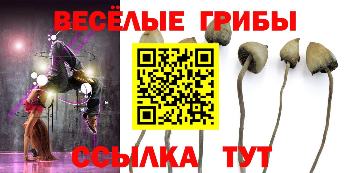 Галлюциногенные грибы Psilocybe Кунгур